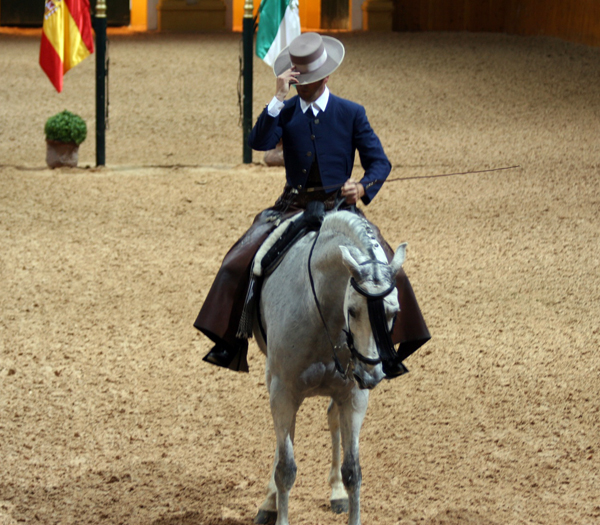 Jerez horse show